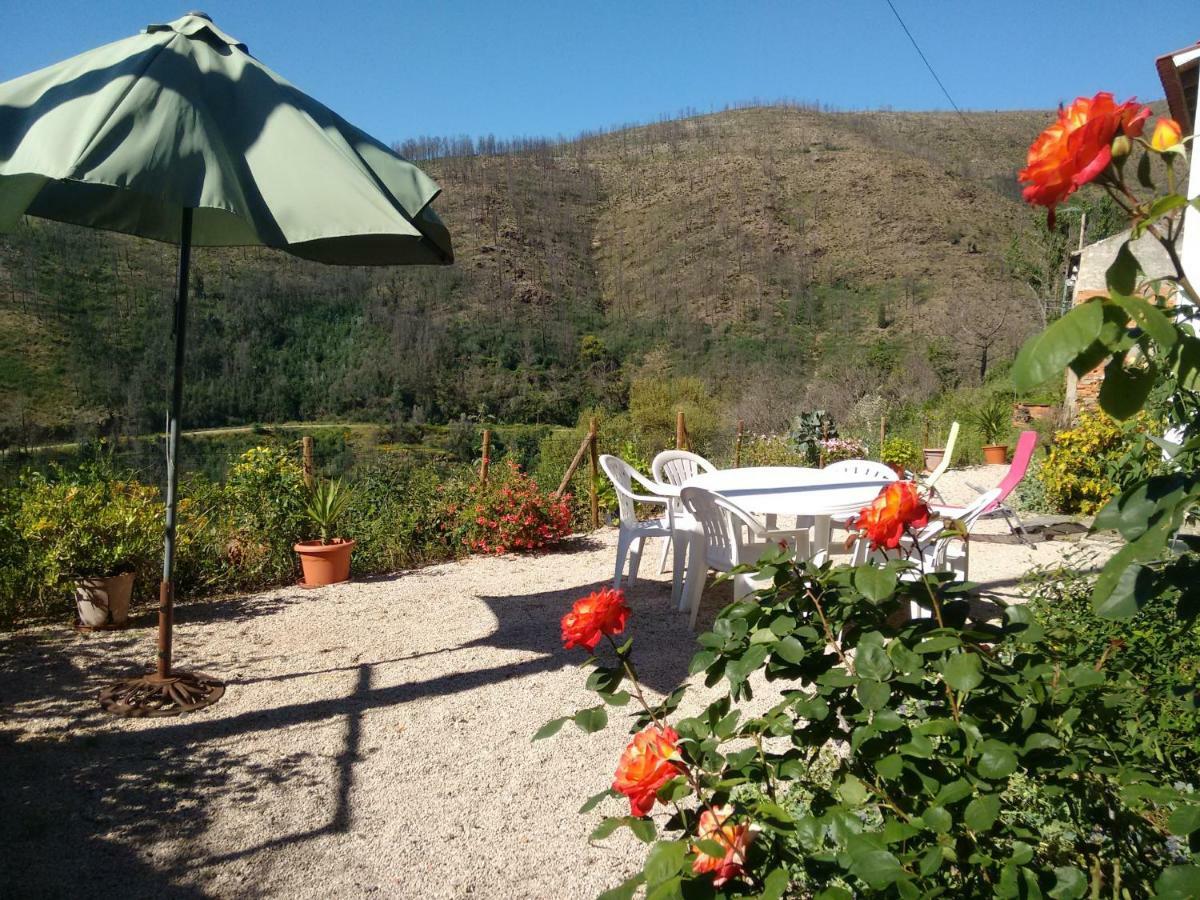Holiday home Casa De Xisto Arganil